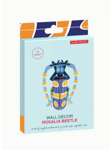 3D Rosalia Beatle Studio Roof