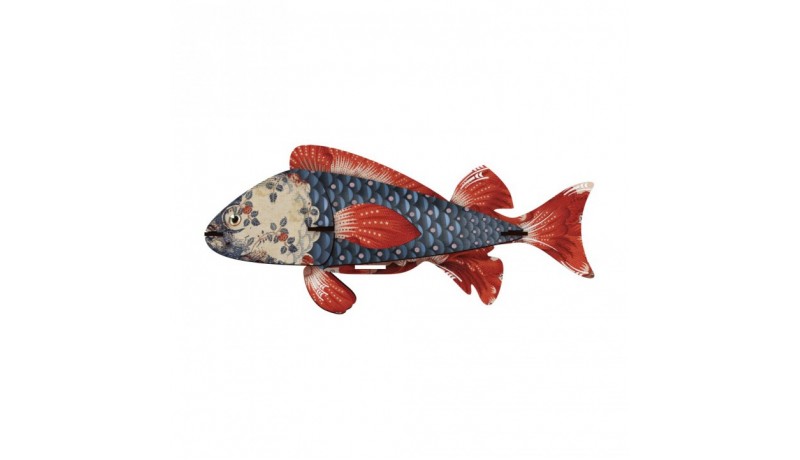 Pesce decorativo, Miho-Heartbreaker